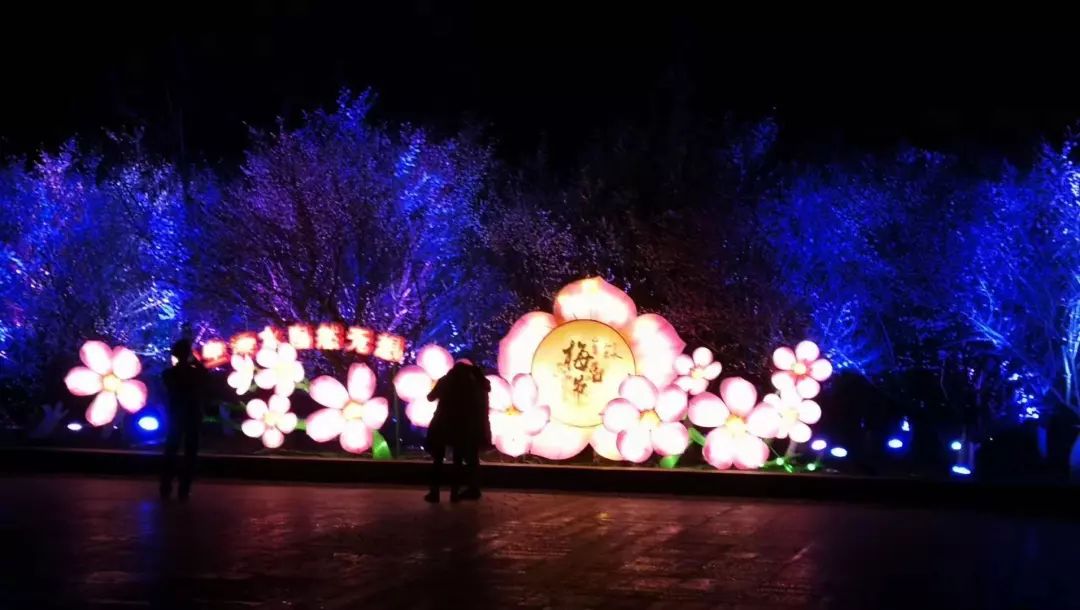 溧水梅花节剧透来啦!新晋打卡点,快来溧水梅花山"凹造型"吧!