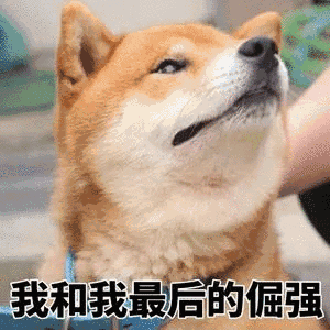 对于洗澡这件事