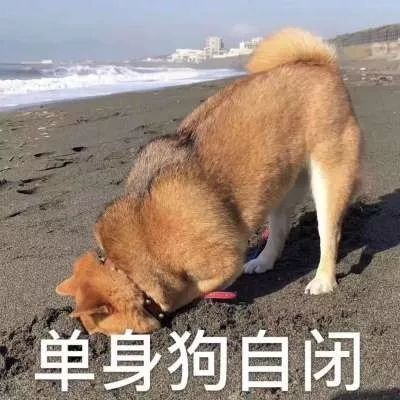 表情包