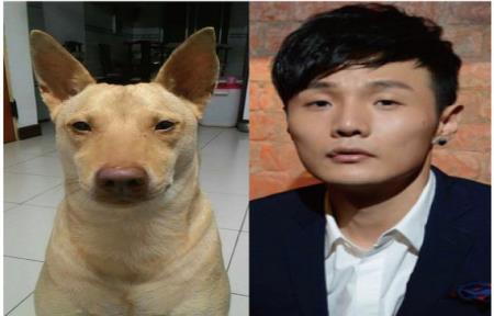 李荣浩神撞脸!"李荣浩同款狗狗"仅售1元,本尊回应上热搜!