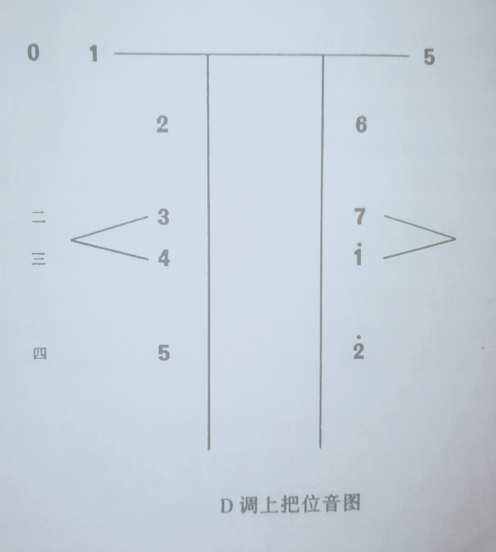 二胡d调一把位的音位指距关系及空弦练习方法