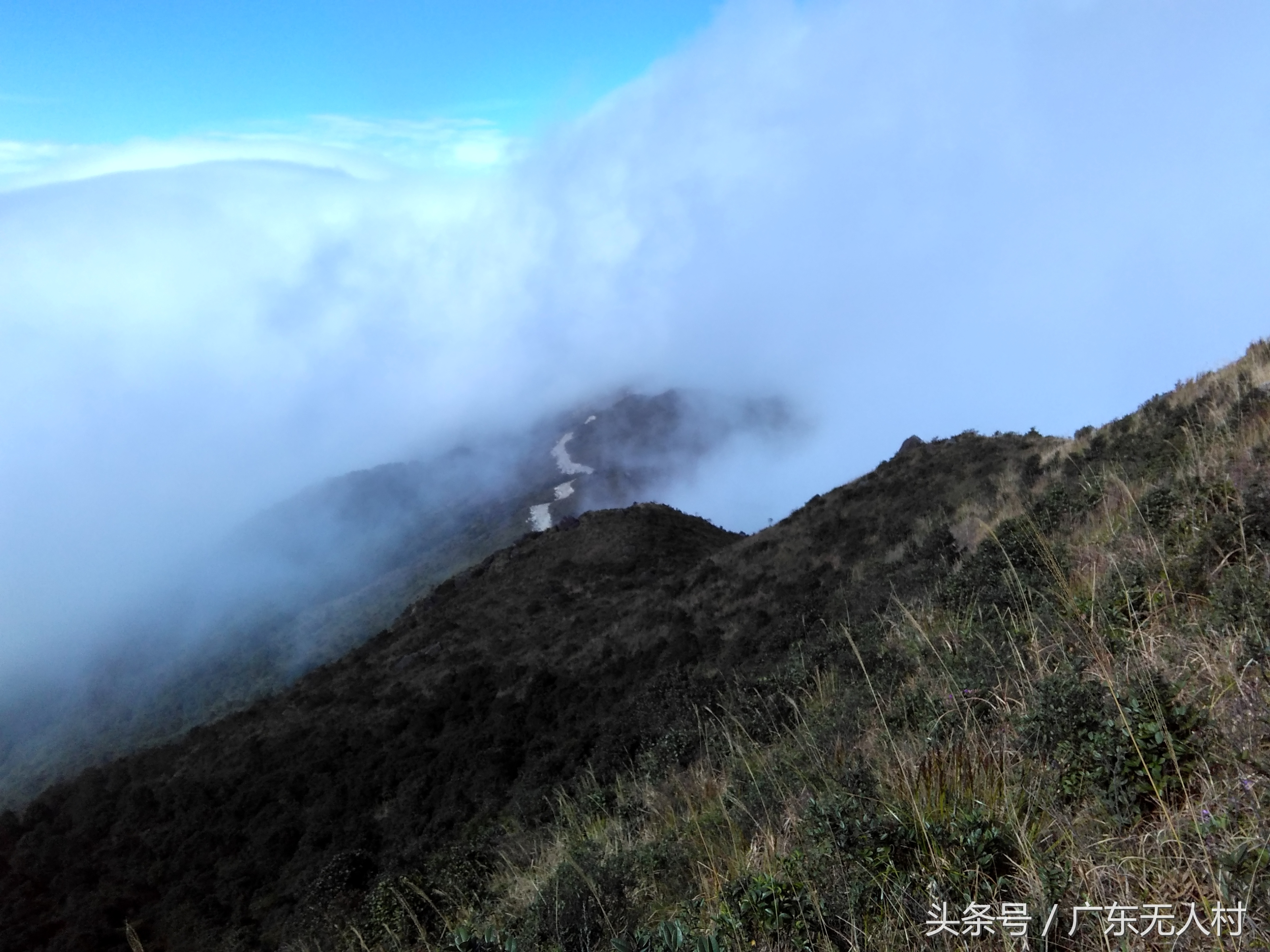 广东惠州大南山芒草岭壮观的云海,云里雾中仿佛置身于仙境!
