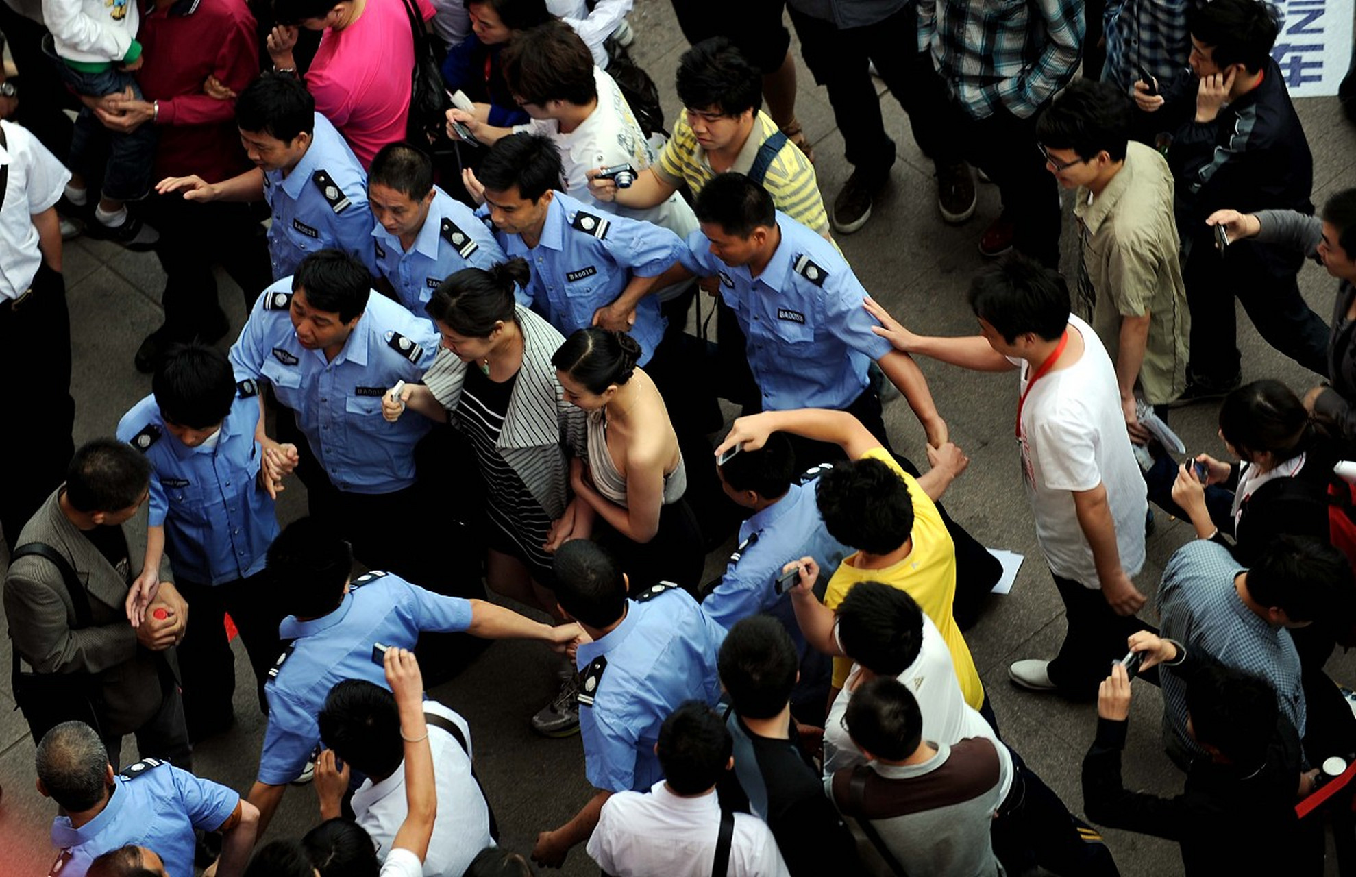 也有人说"人在打架,动物在旁边吃瓜"