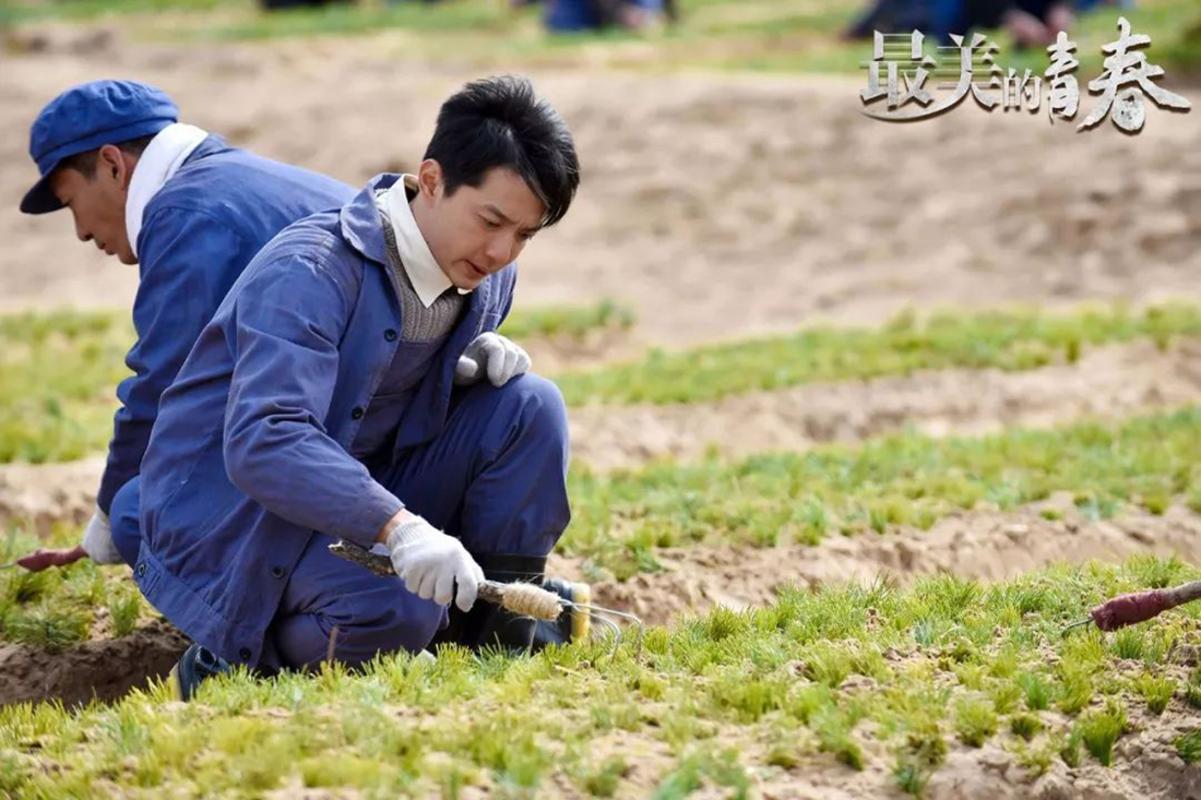 塞罕坝电视剧图片