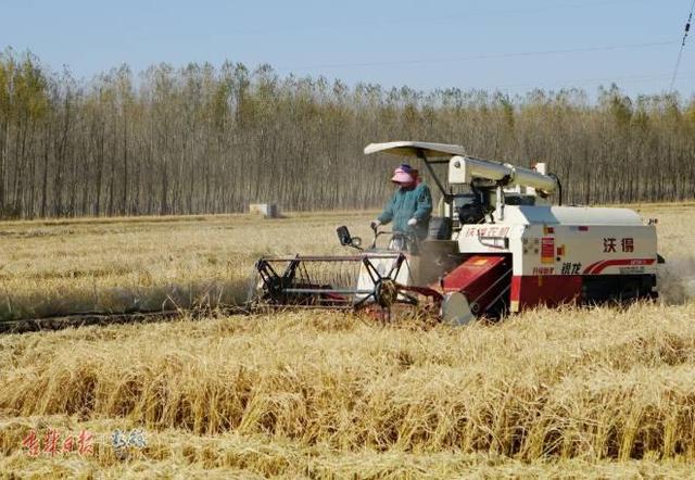 德惠:自动驾驶农机,遥感农情监测……农民合作社开启智能化