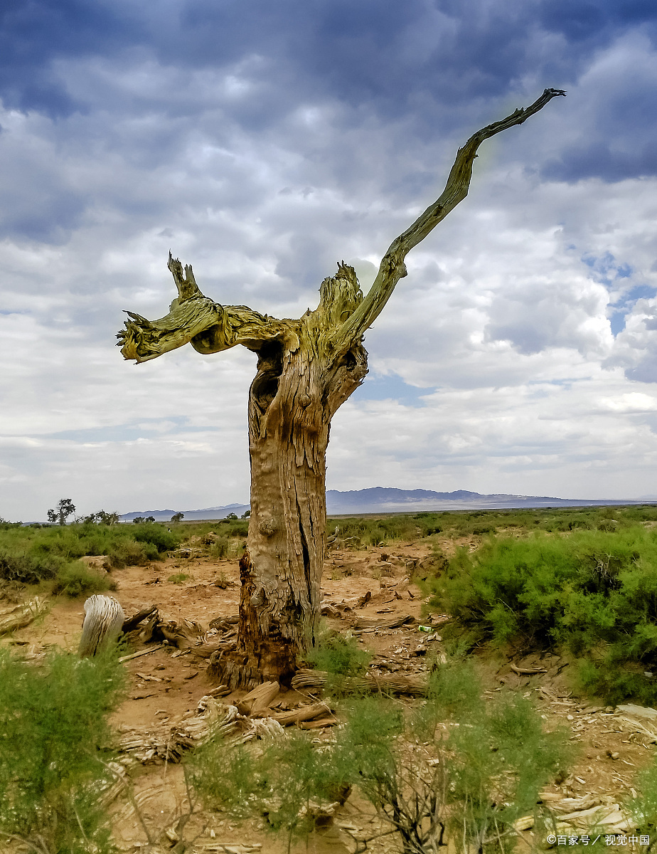 不屈不挠:一个人的坚强