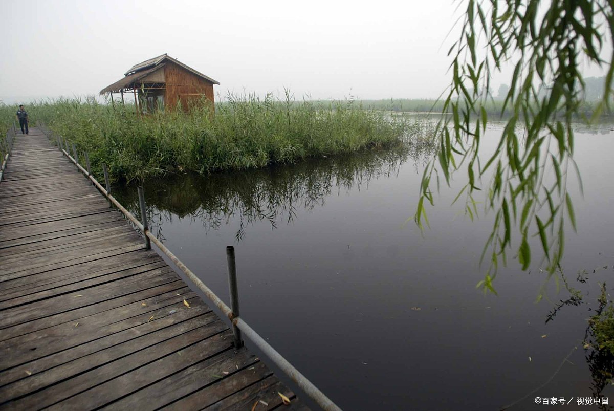 东滩湿地公园游玩攻略