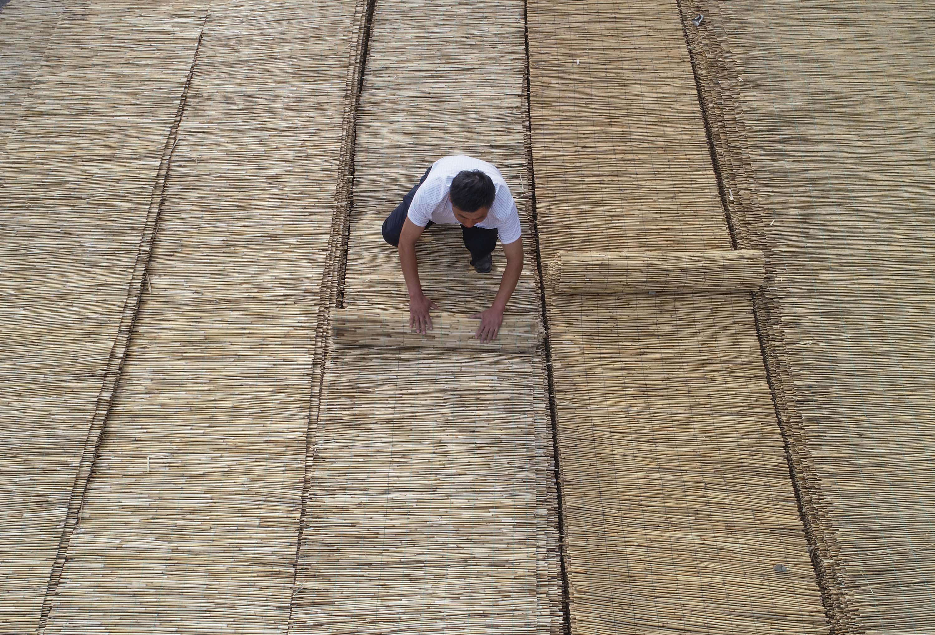 芦苇编织产销忙(4)