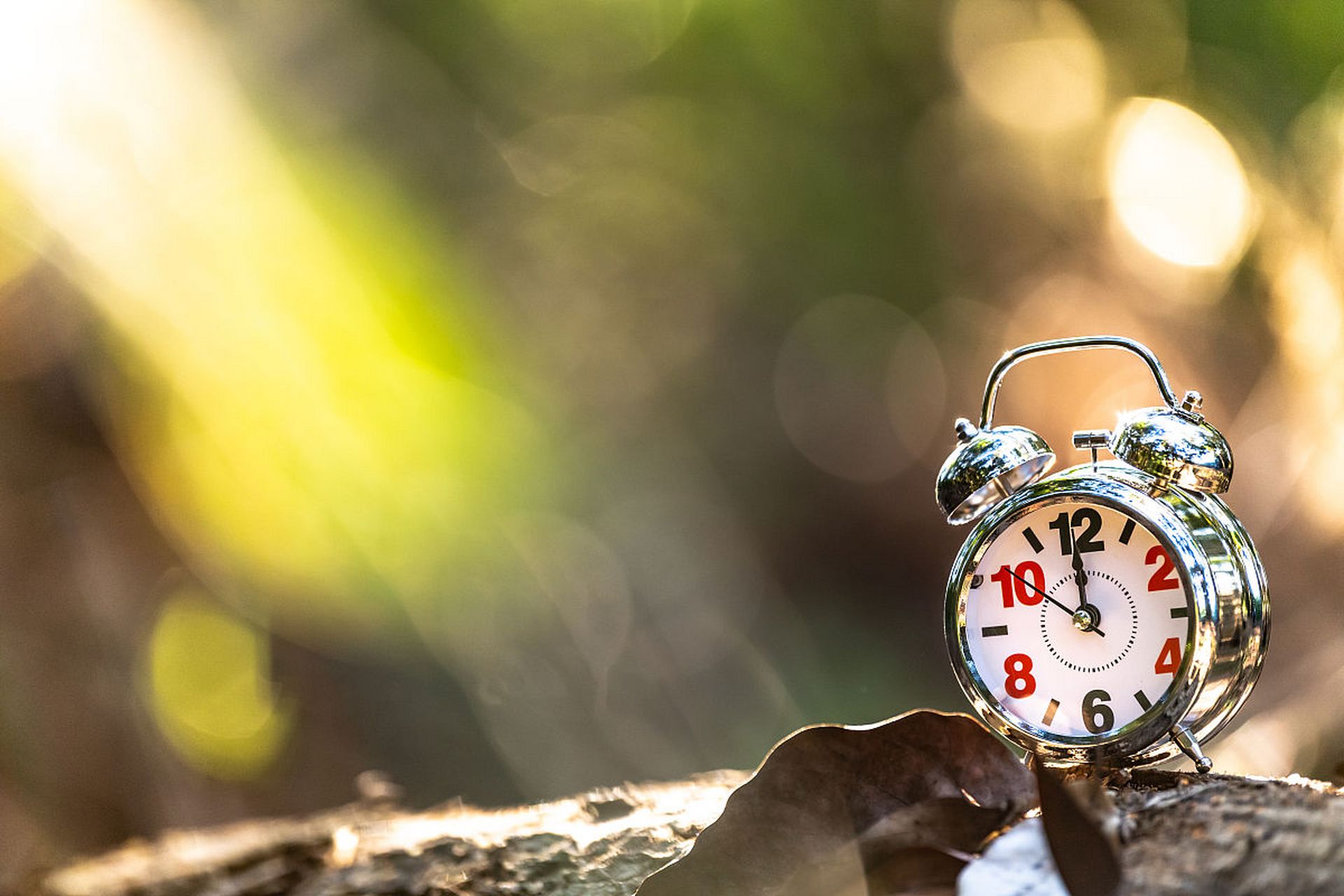 中学生优秀作文精选:《我心雀跃》  你的回復,让我心雀跃,更让我明白