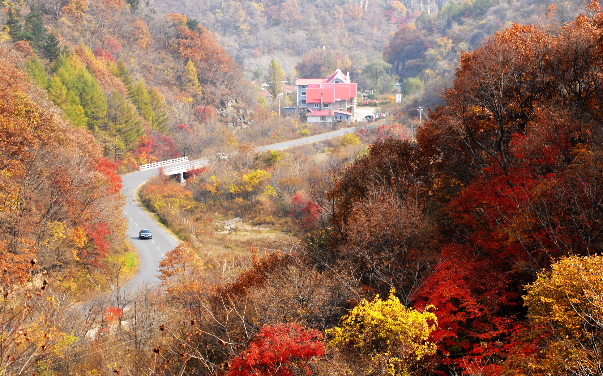 枫叶之都本溪县-中国枫叶大道