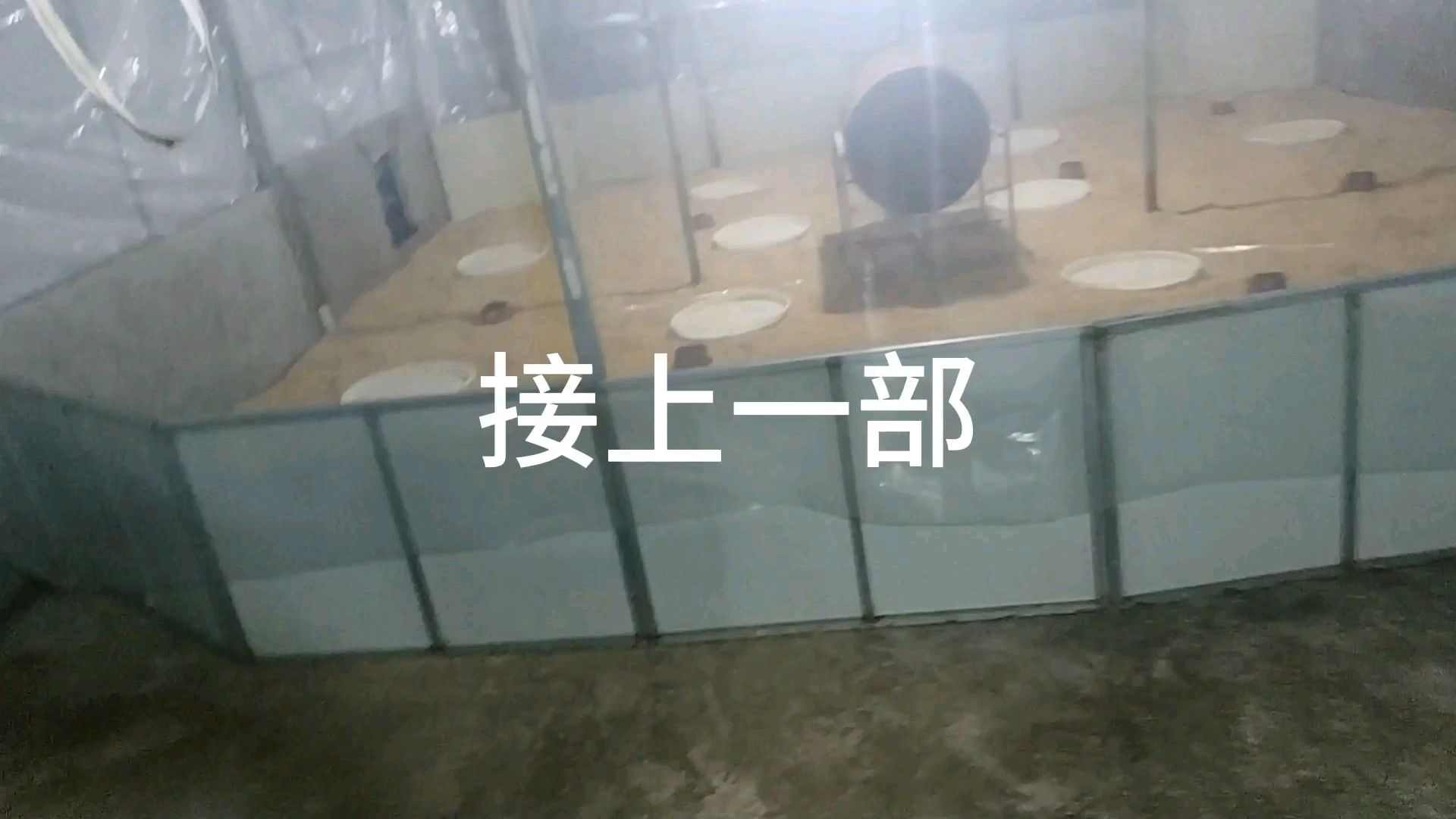 养鸡从零起步教学第一期下,做足这些准备,别关键时刻掉链子