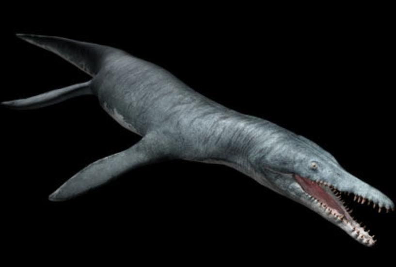 猎塔湖水怪,猎塔湖是我国西南地区的一个湖泊,形成于一万年前,早期