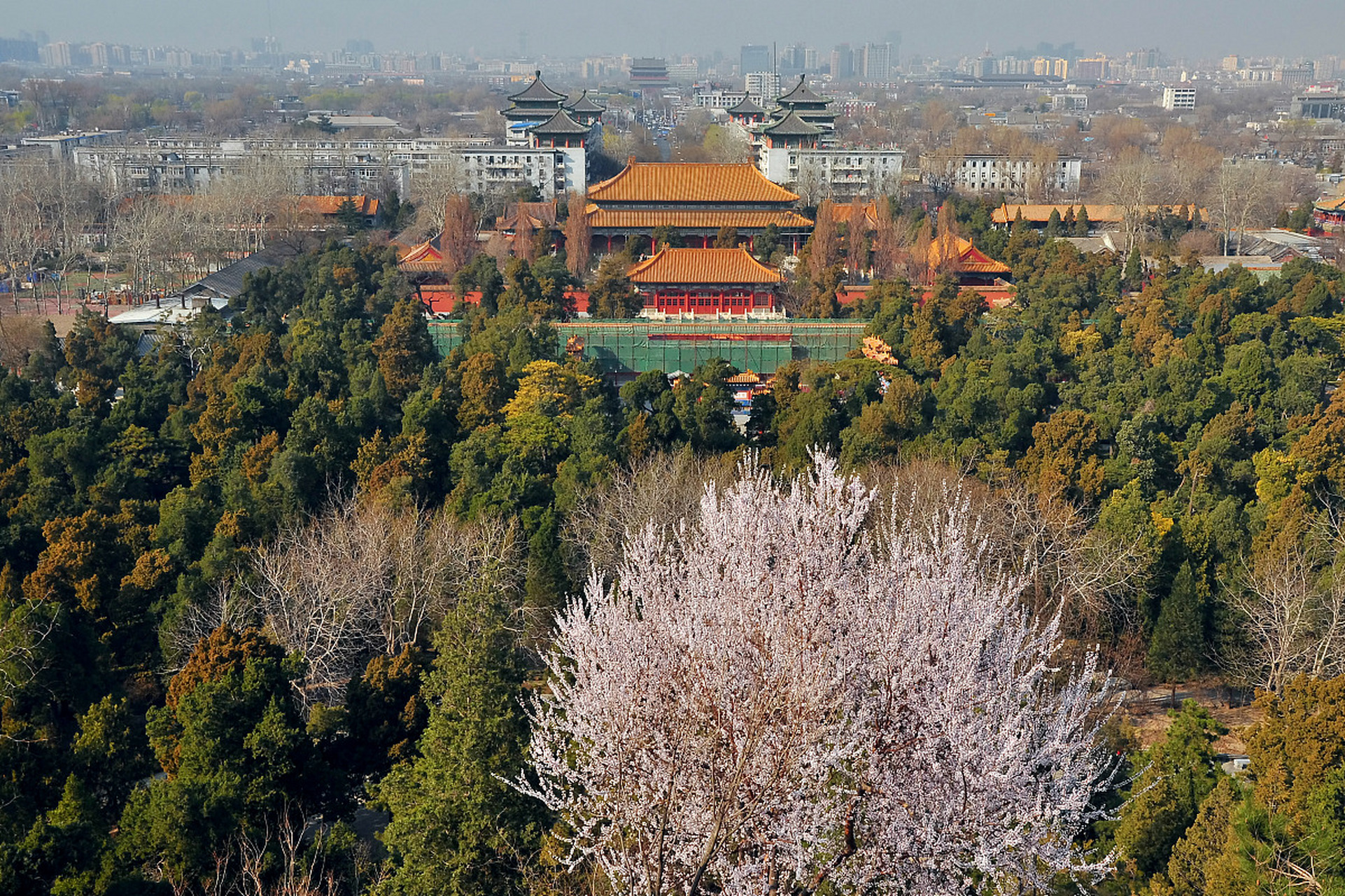 镜头里的春天#步入沈阳清东陵,如同翻开一部沉甸甸的历史画卷,那位于