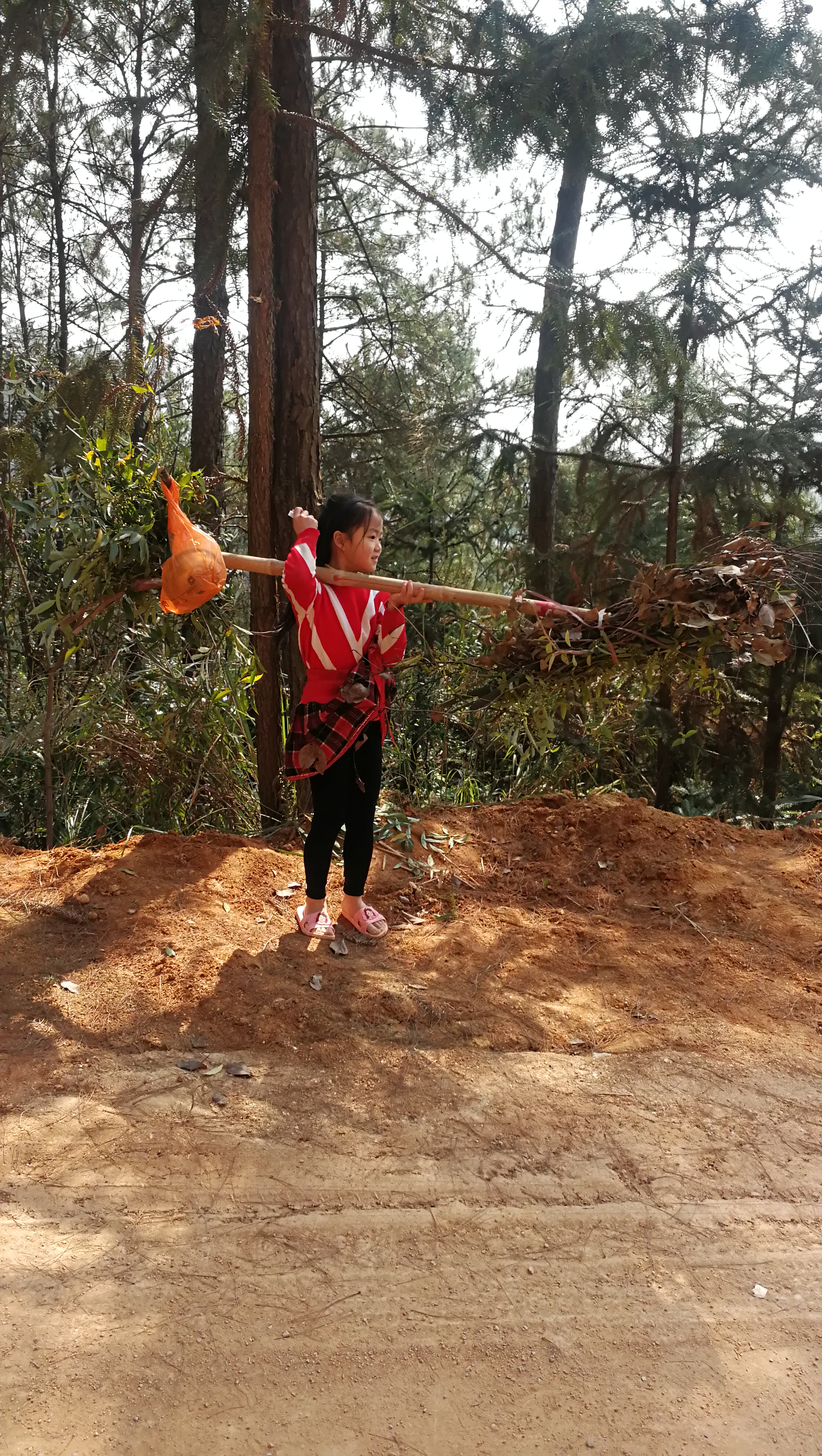 微电影剧本:砍柴的小姑娘