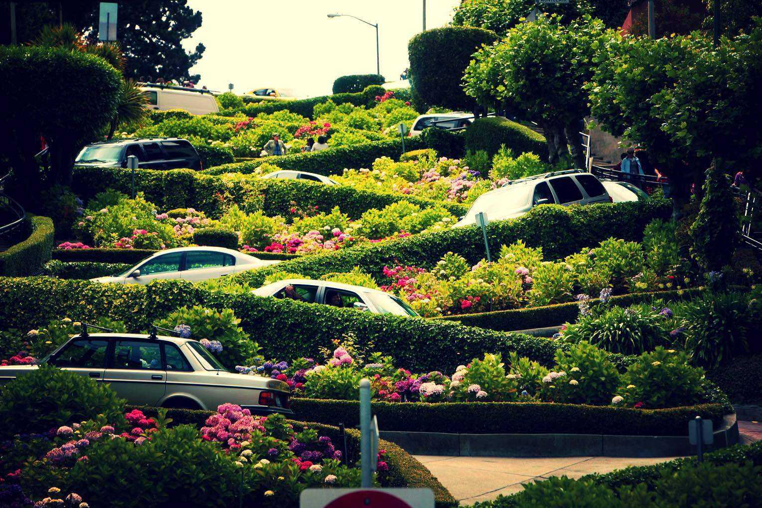 1 旧金山·九曲花街