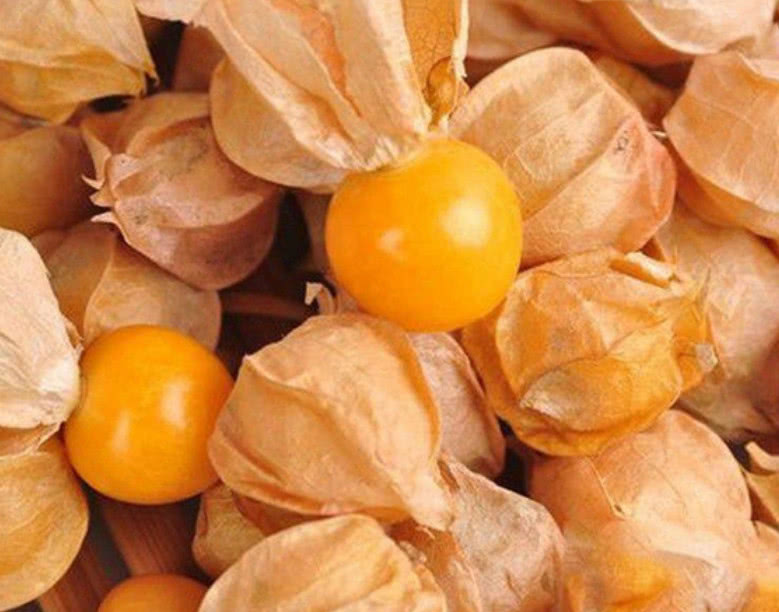 农村一种叫"金姑娘"的野果,以前随处可见,如今有钱也很难买到