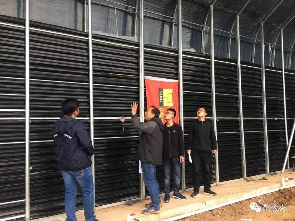 科技杨凌|杨凌新技术花开河北,实现大棚"水蓄热!