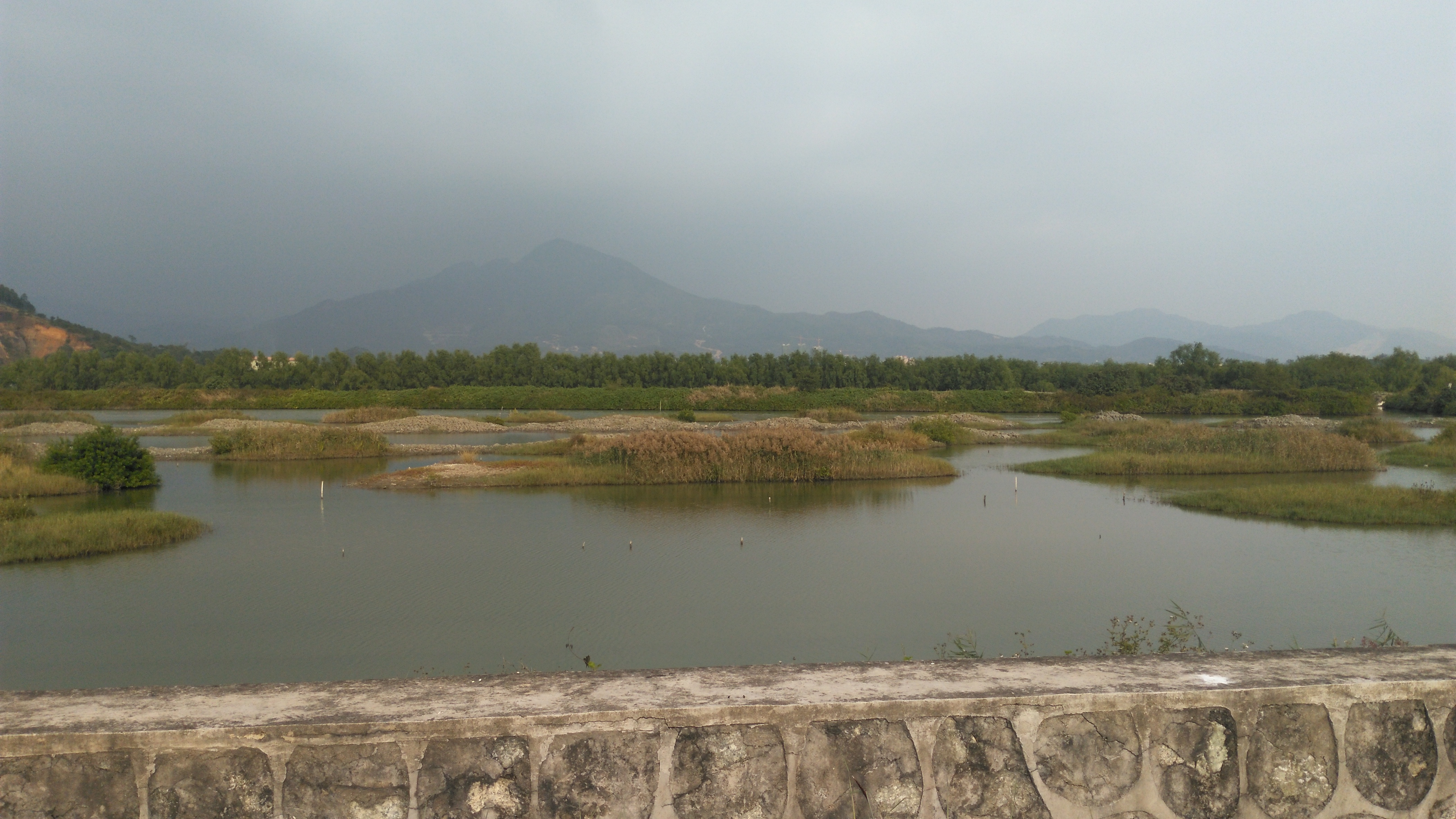 惠州蟹洲村,地处惠东稔平半岛海边湿地的一条美丽小乡村