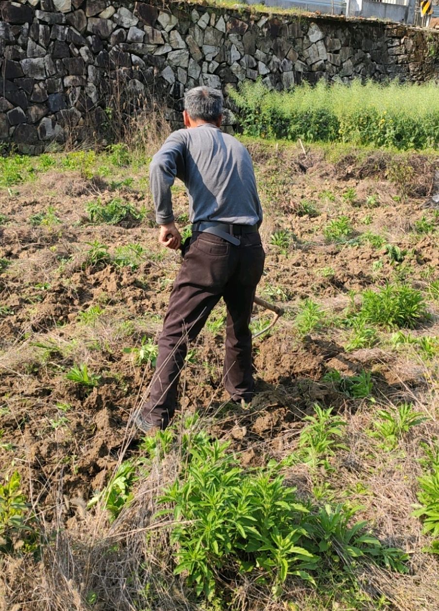 播种春天里,农民辛苦