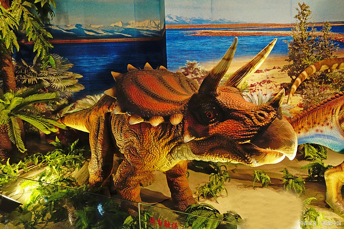 因长了三个角而得名的恐龙——三角龙