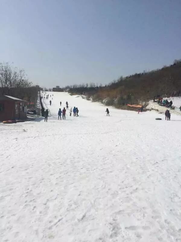 天津人过年又添好去处!南翠屏公园滑雪场开放
