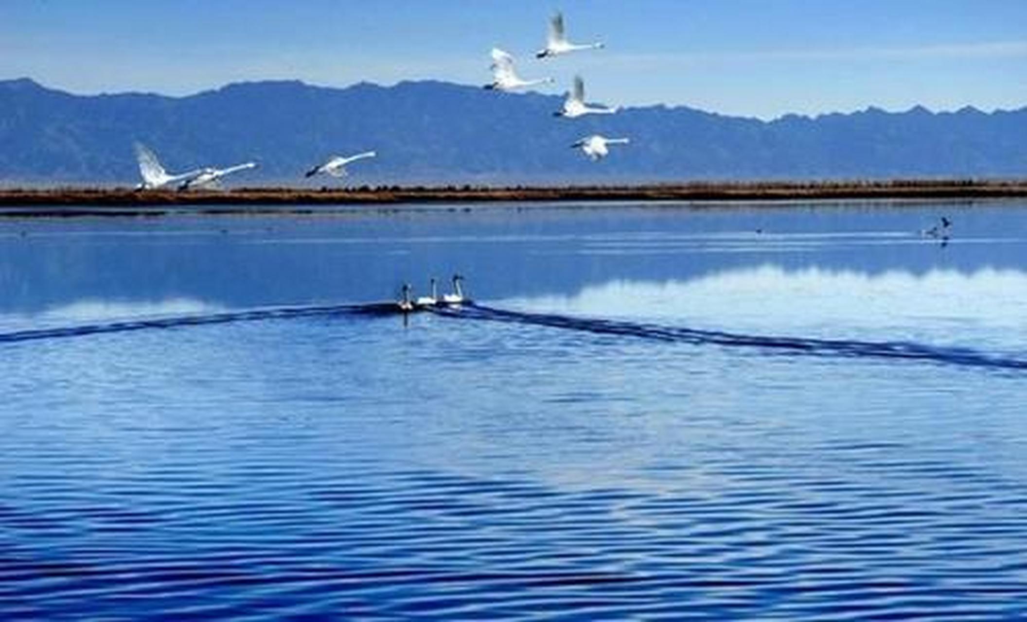 岱海旅游度假区位于内蒙古自治区凉城县美丽的岱海湖畔,为国家aaaa级