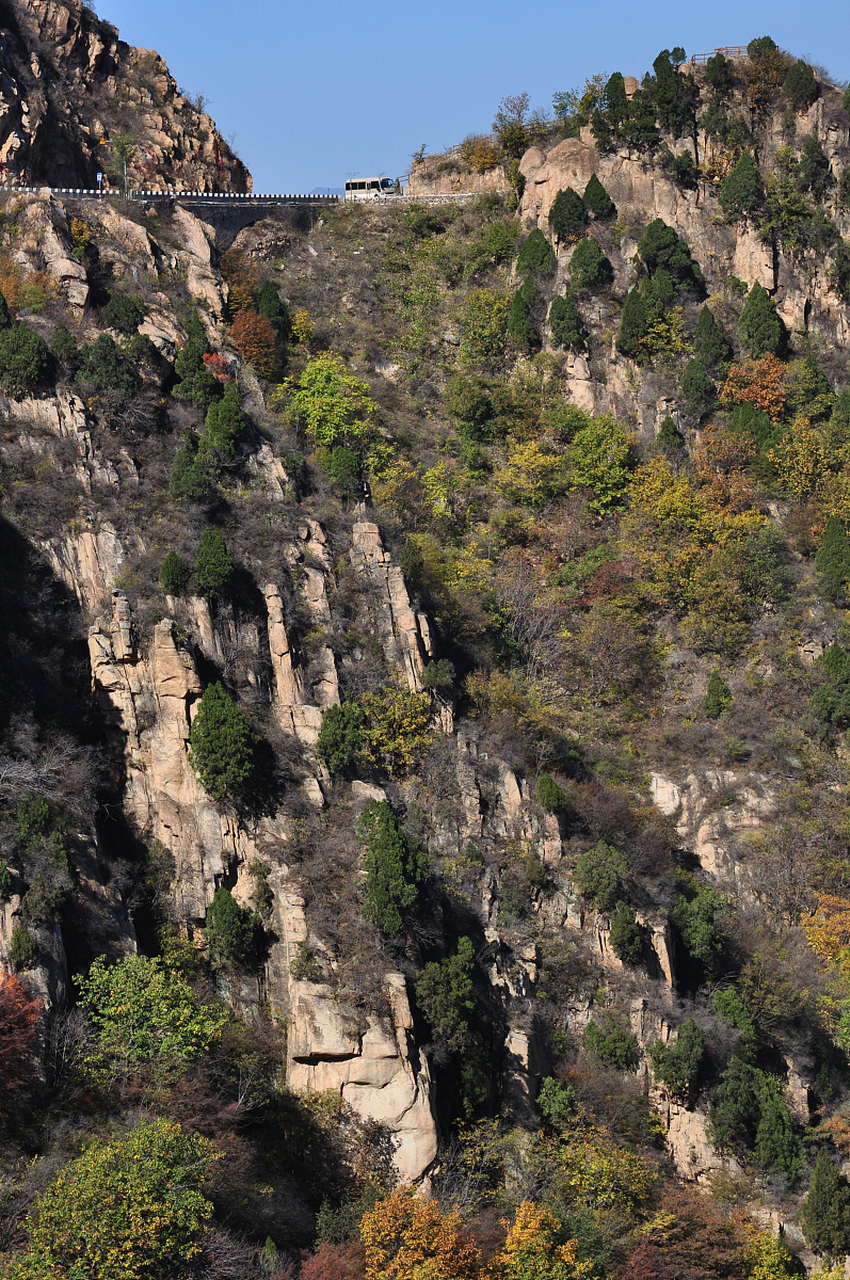 镜头里的春天# 在甘肃成县西峡颂,春日的阳光将整个山谷染成一幅生动