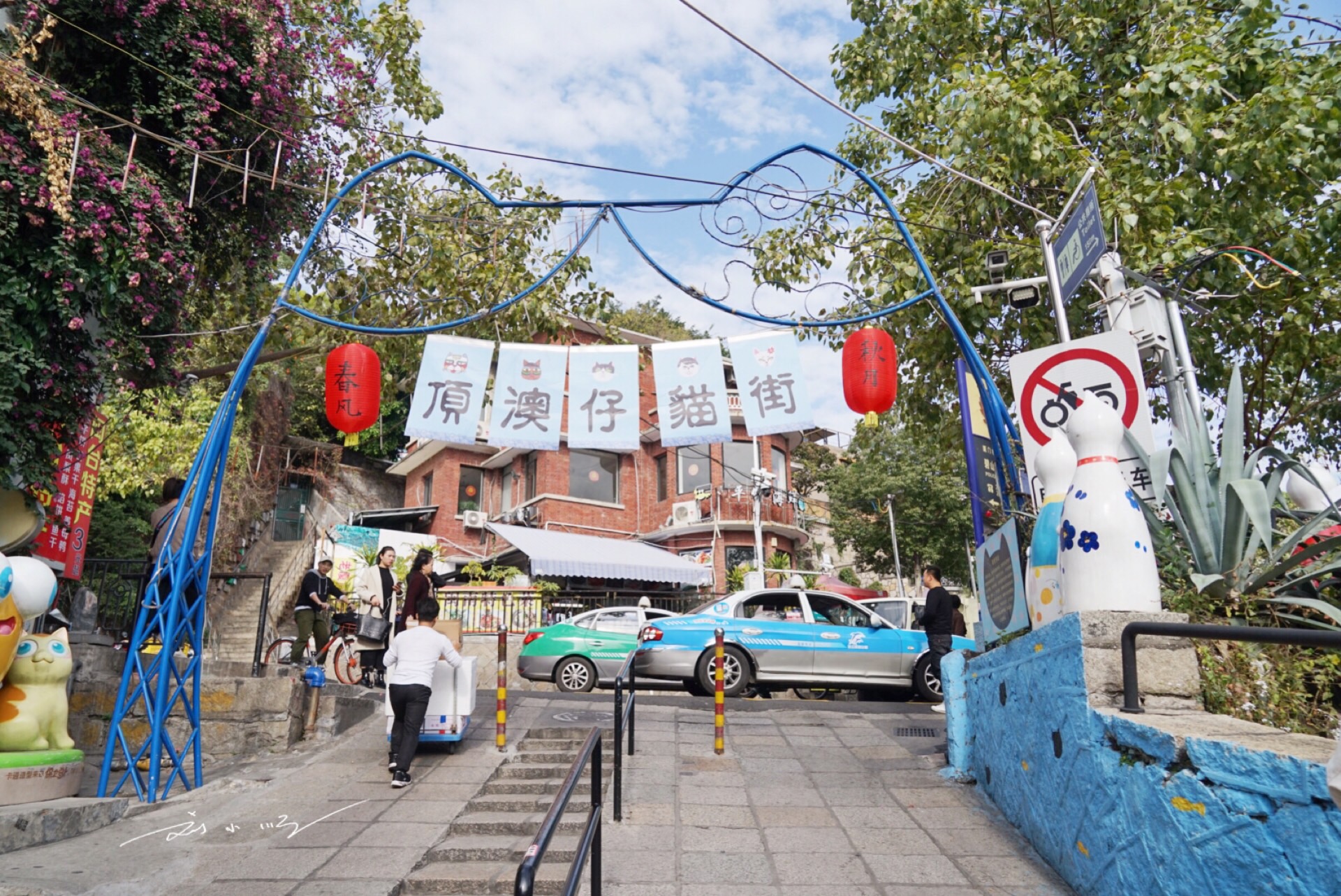 外地游客实拍厦门"网红"猫街,街上并没有猫,撸猫只能花钱撸