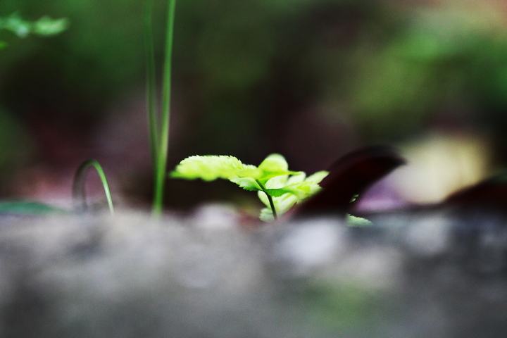 有智慧的生活:没遭遇过不幸,就学不会坚强