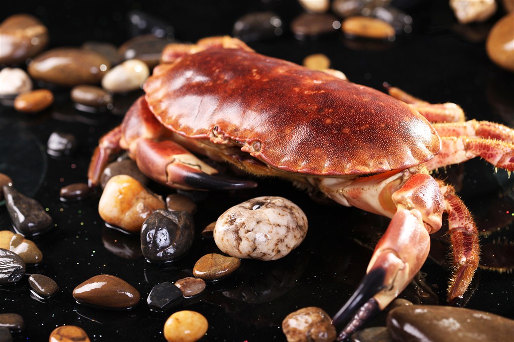 隔夜菜可能"诱发"癌症?这4种食物尽量不要吃,大多数人不了解