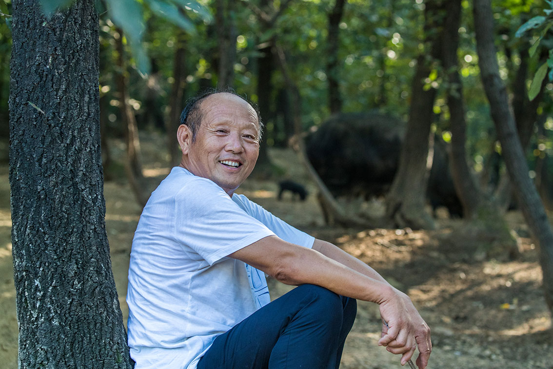 瘟疫肆虐,树林里丢掉七百多条性命,老汉欲哭无泪,欲要东山再起