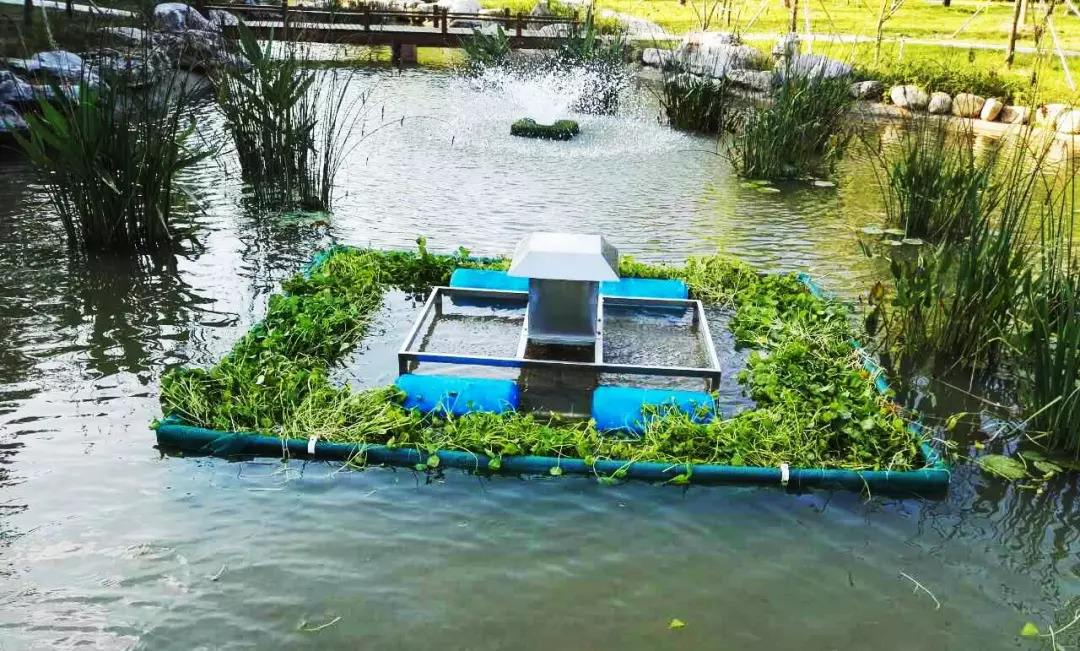 怎么才能加强水体的自净能力,这些方面要注意,行之有效