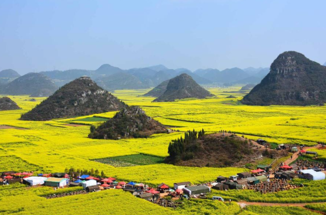 旅游云南篇:欣赏一组罗平金鸡峰丛的图片