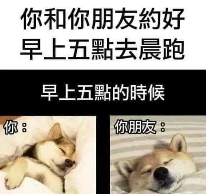 哈哈哈,你和你朋友约好早上去晨跑,真实