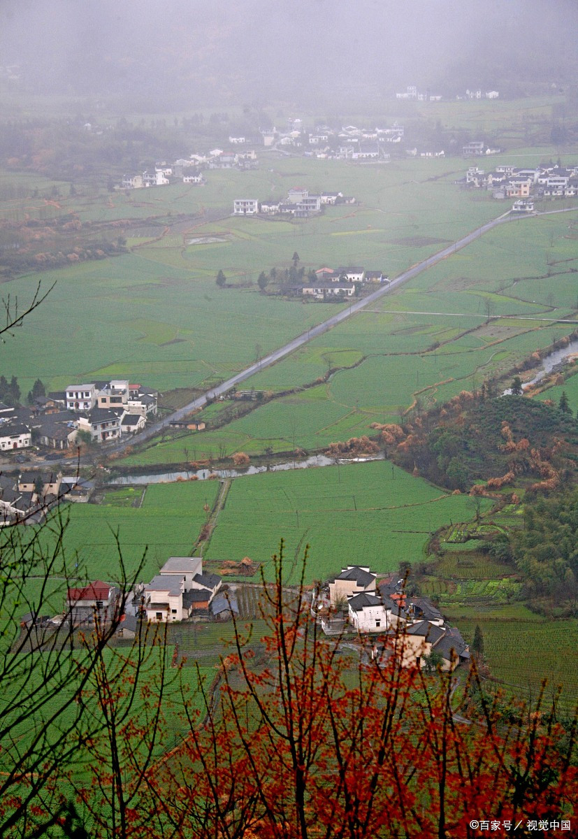 镜头里的春天# 春色婉约的安徽望江华阳镇,是一个充满生机与活力的