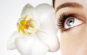 你的眼睛 洒满微笑的慈悲 我愿作一片闲云 禅定在你莲花婆娑的泪眼