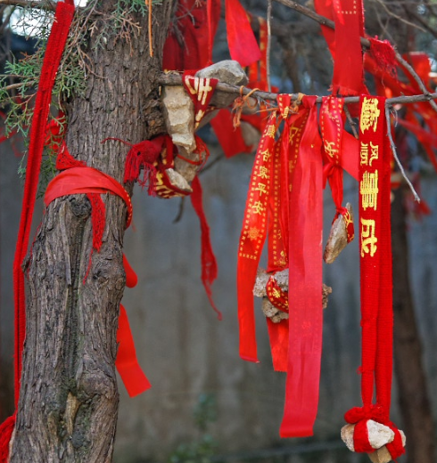 在景区内将祈福红丝带系石块挂树上是不文明行为吗?