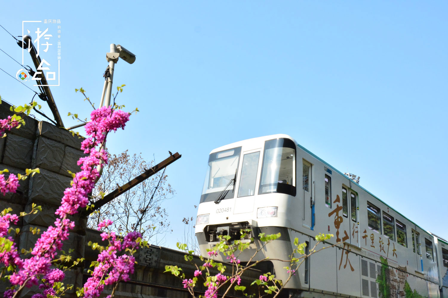 被低估的重庆咽喉,佛图关的密林中,轨道像怪兽一般穿行