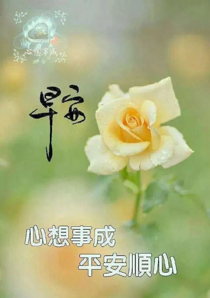 早上好暖心祝福语优美句子