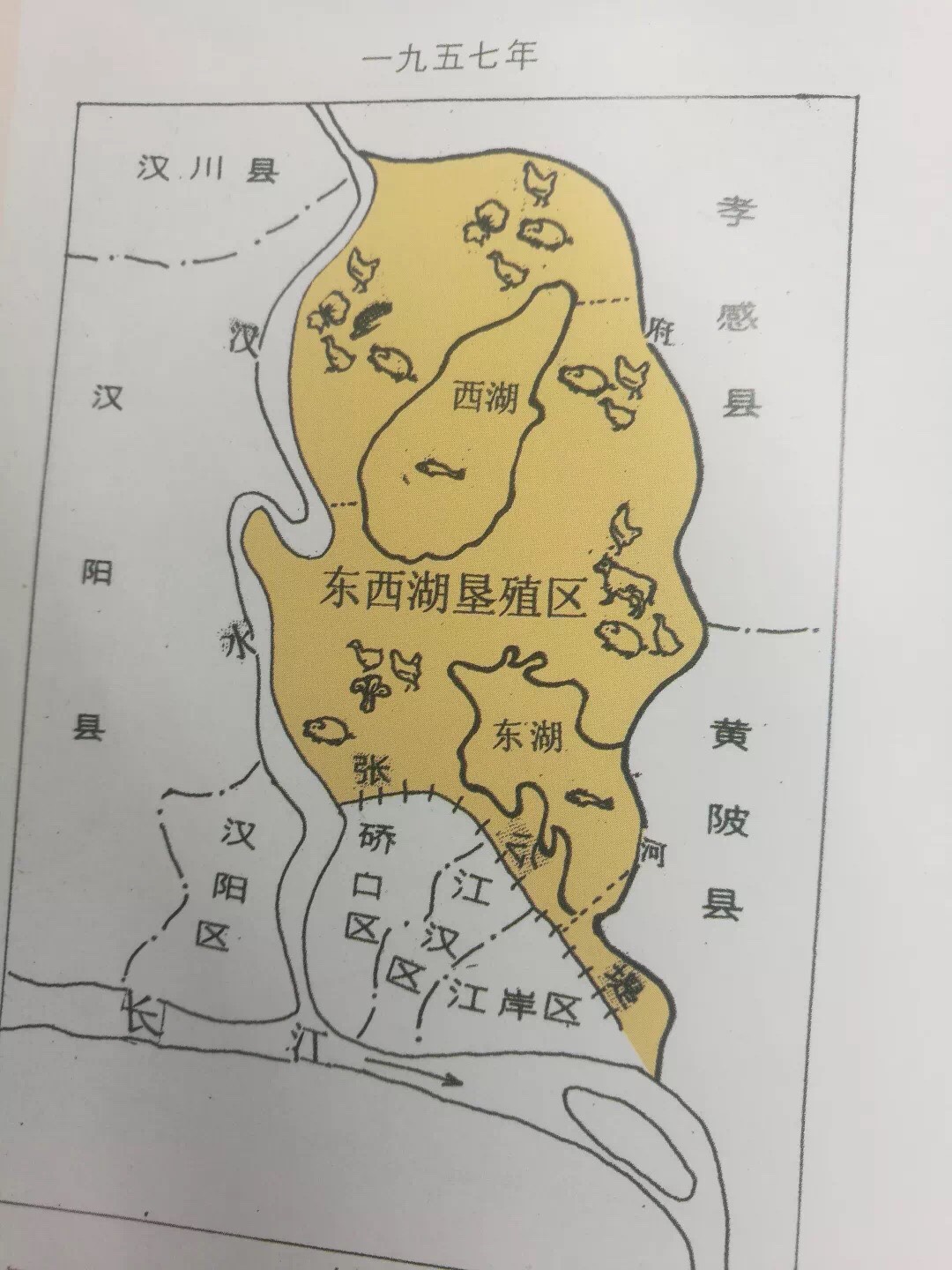 你从哪里来?武汉明星区东西湖的前世今生