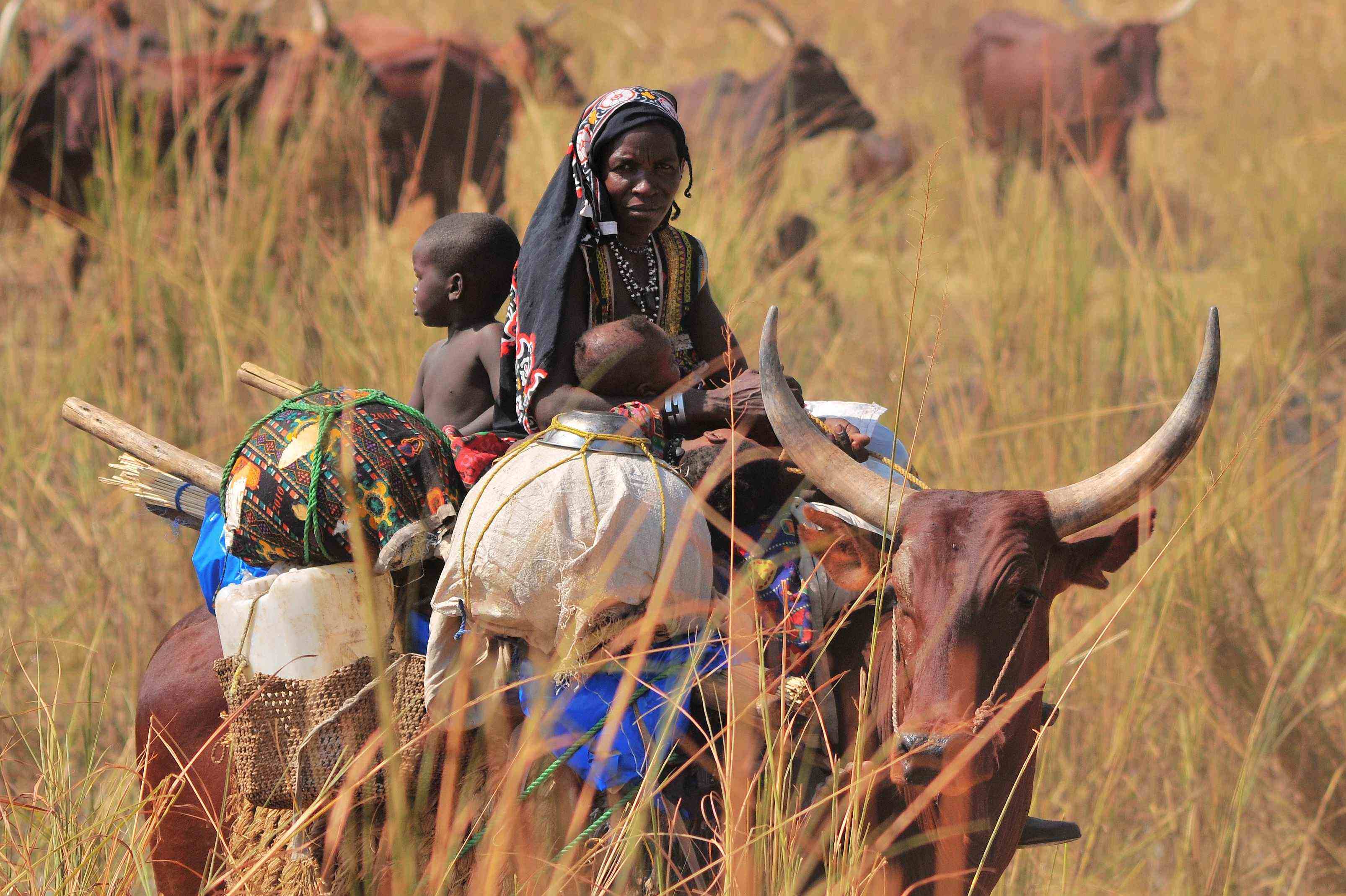 非洲吉布提:欧洲人100年让我们没饭吃,中国3年让咱比印度还有钱