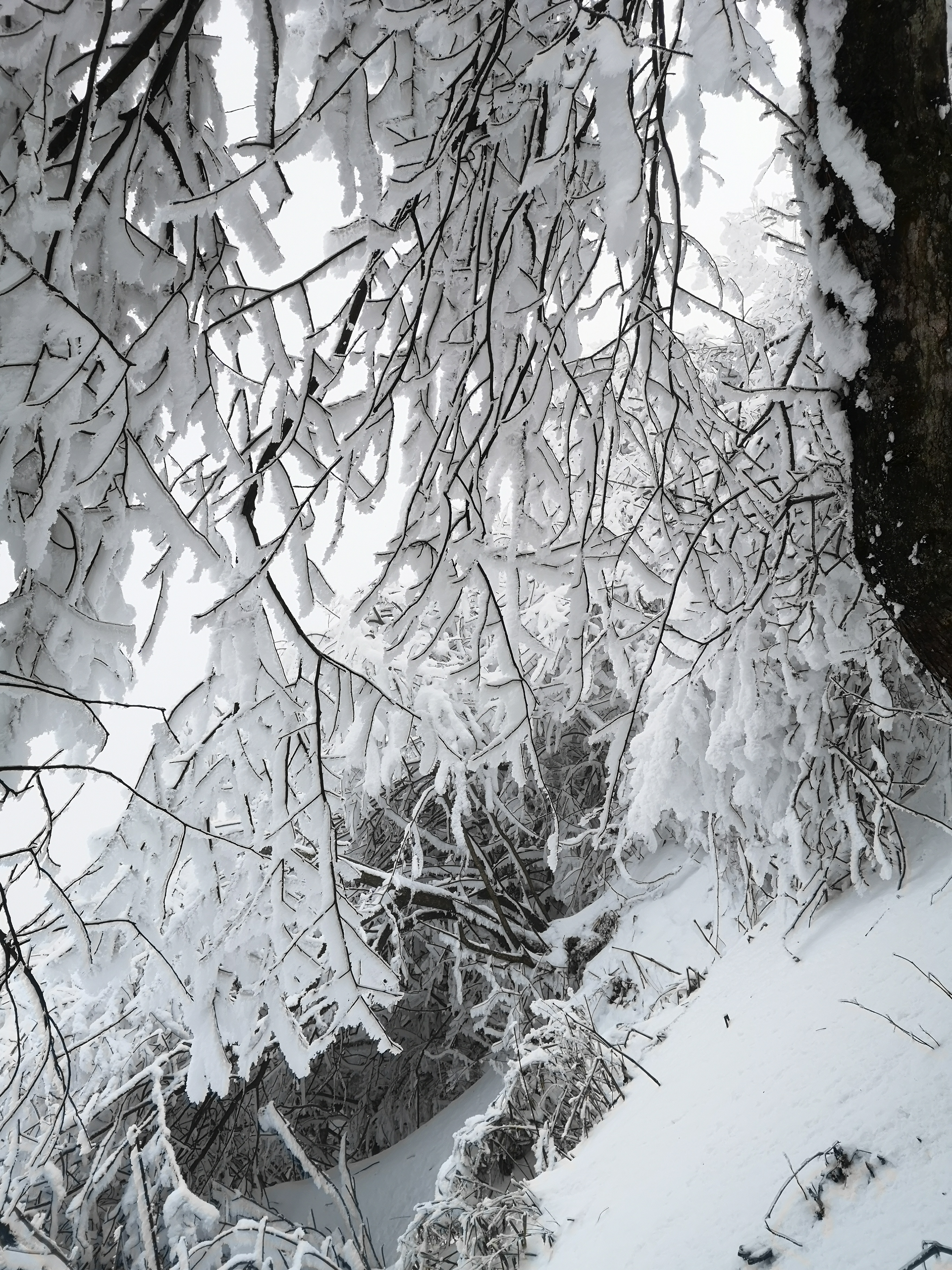 成都户外第一山赵公山雪景分享