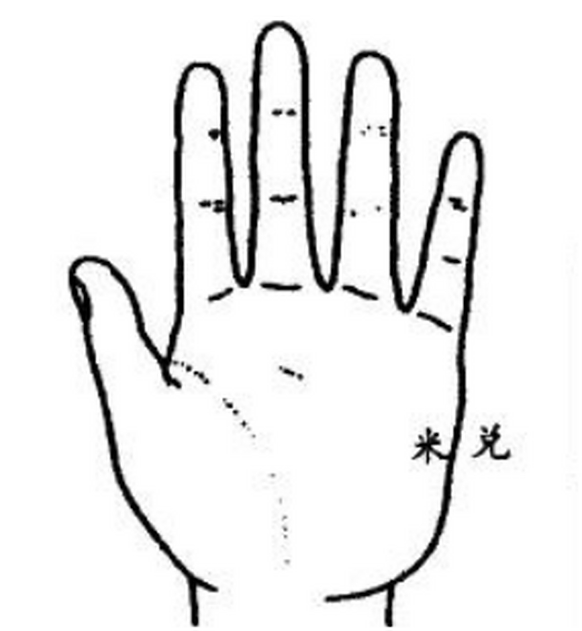 大叔手相教学285——金龟纹的形状像是龟纹一样,米字花纹之类,这样的