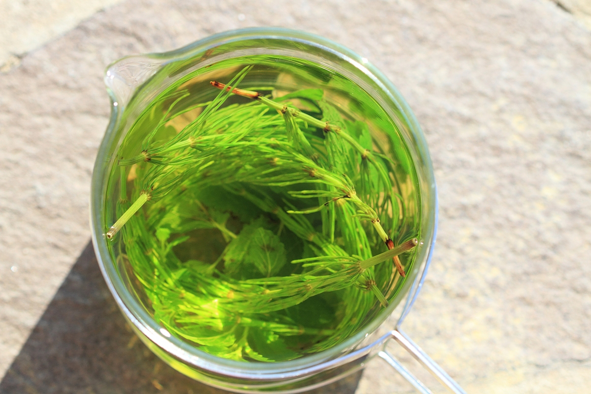 本植物,俗称莓茶茅岩莓茶端午茶藤婆茶,也称山甜茶龙须茶莓茶就是藤茶