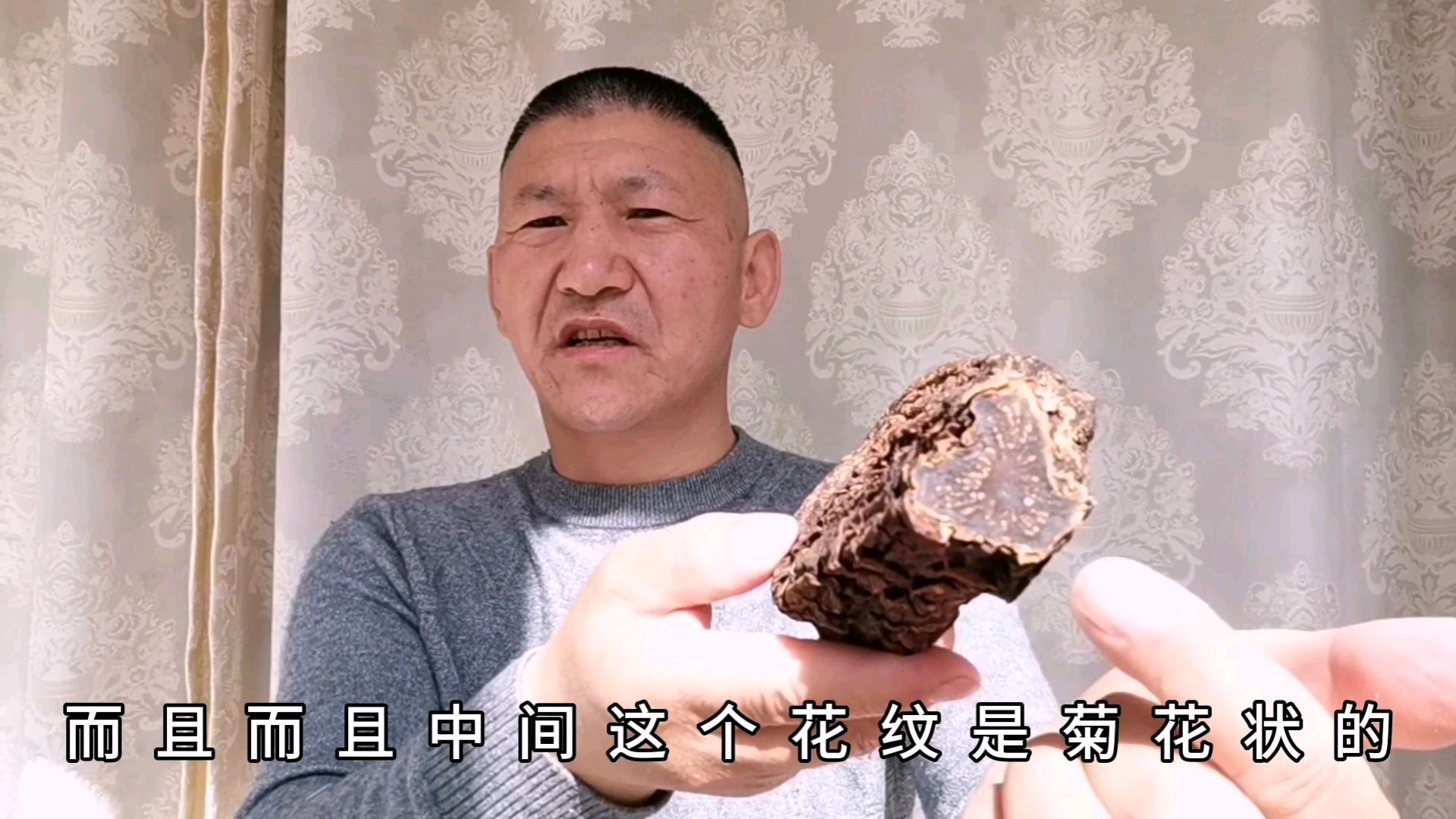 为什么说阿拉善的肉苁蓉是全国最好的以及它们的价格是多少