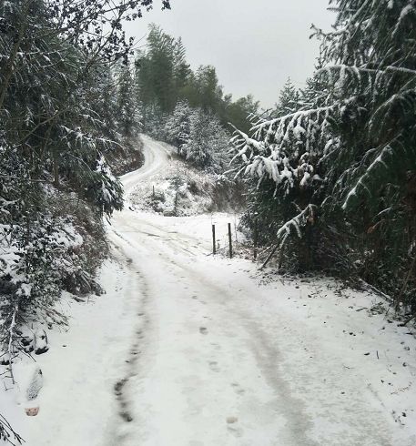 「1038」沅陵下雪啦!怀化城区即将速冻 大雪,各部门严阵以待!