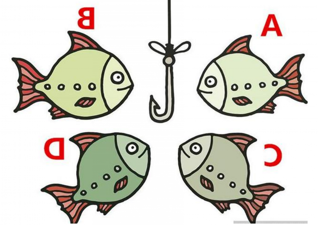 心理测试:四条小鱼你感觉哪条容易上钩?测测2018年你能赚大钱吗