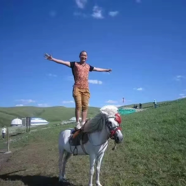 释恒龙 飞禽王国