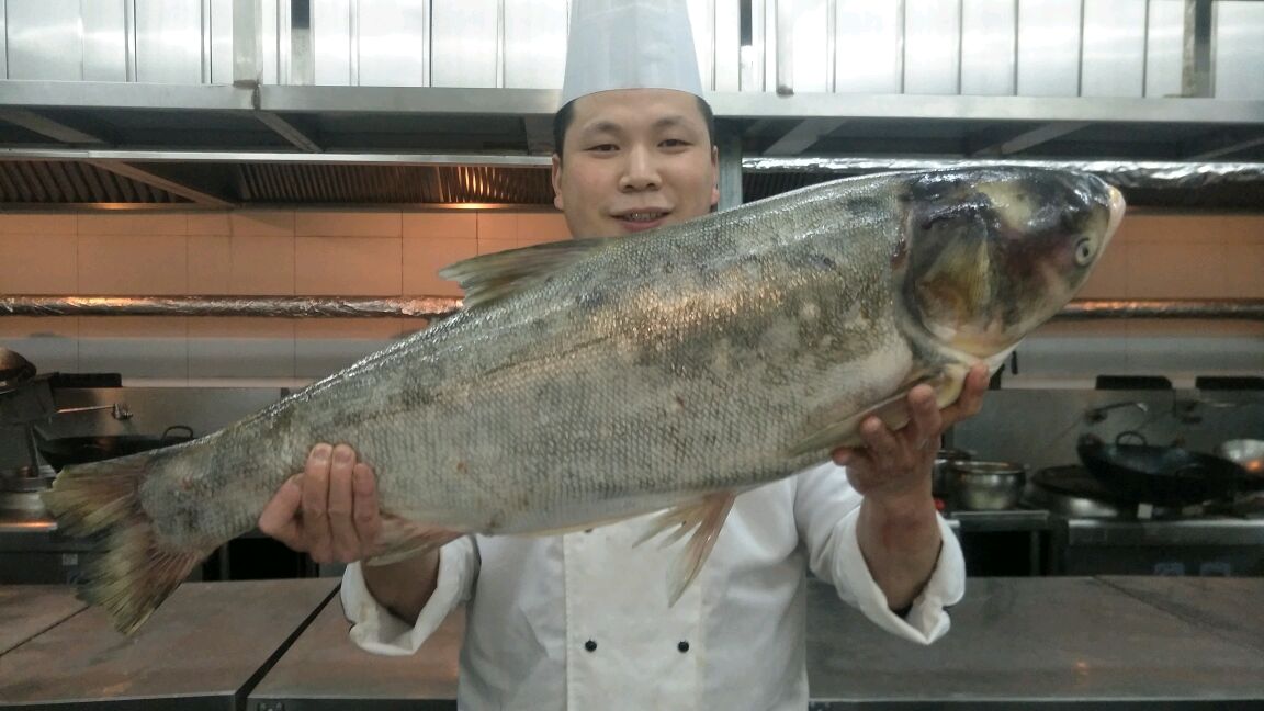 酒店大厨教你:“铁锅炖查干湖胖头鱼”23斤大鱼炖了满满一锅,香