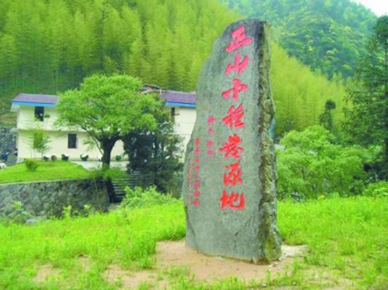 聊一聊高端红茶金骏眉